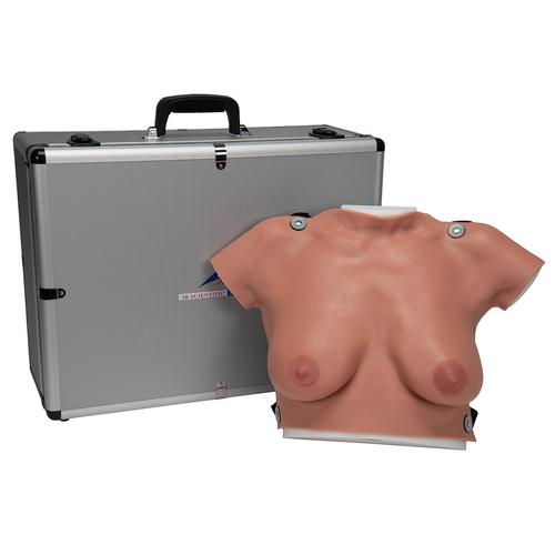 Modèle de palpation mammaire (avec valise de transport et planche murale incluses), 1000342 [L50], Modèles mammaires
