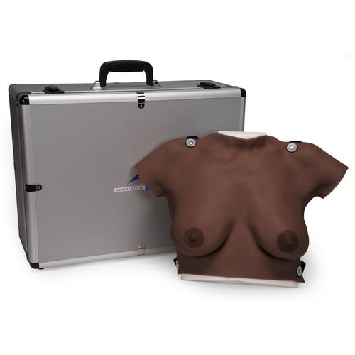 Modèle de palpation mammaire (avec valise de transport et planche murale incluses), teint foncé, 1023307 [L50D], Modèles mammaires