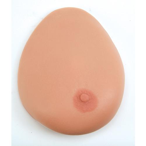 유방 자가검진 및 촉진훈련용 모형 Breast Self Examination model, three single breasts on base, 1000344 [L55], 유방 모형