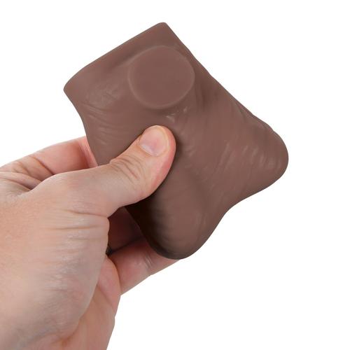 Testicle Model, Dark Skin, 1023302 [L60D], Genital and Pelvis Models