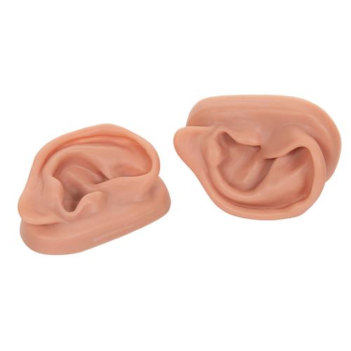 2 Orejas para acupuntura, 1000373 [N15], Modelos
