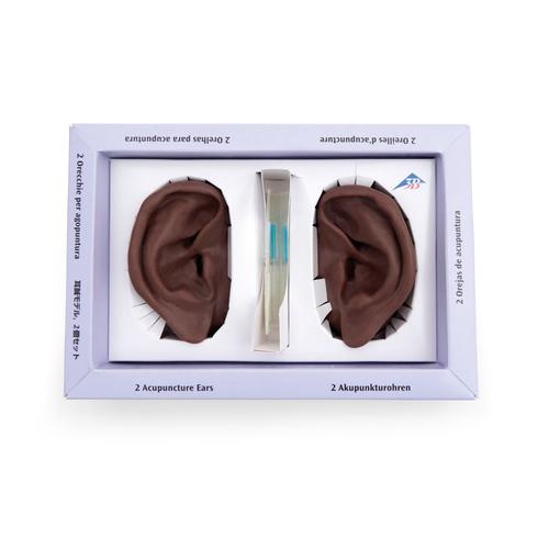 Modelo izquierda y derecho del o&iacute;do para practicar la acupuntura,&nbsp;tono de piel oscuro, 1024485 [N15D], Modelos