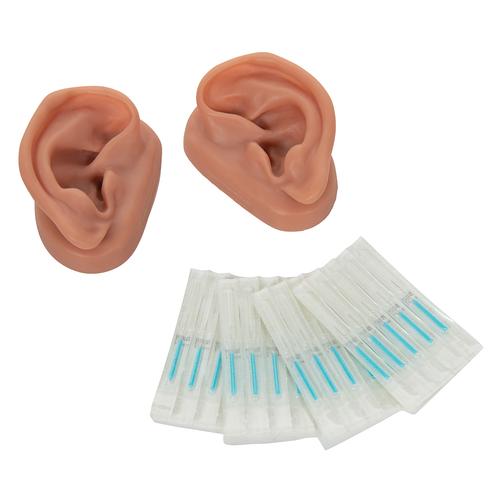 Orejas para acupuntura, juego para 10 estudiantes, 1000376 [N16], Modelos