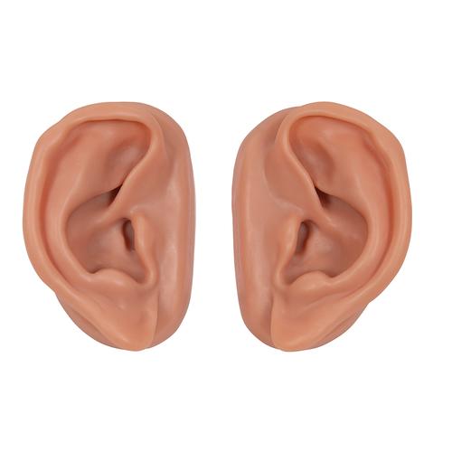 Orejas para acupuntura, juego para 10 estudiantes, 1000376 [N16], Modelos
