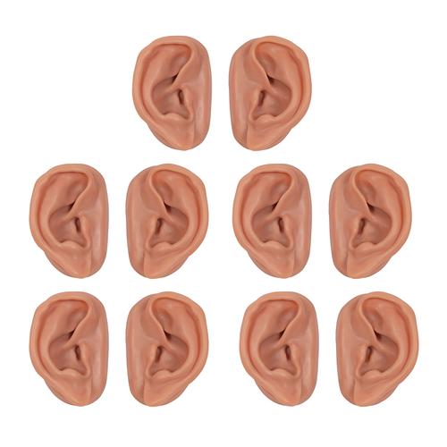 Orejas para acupuntura, juego para 10 estudiantes, 1000376 [N16], Modelos