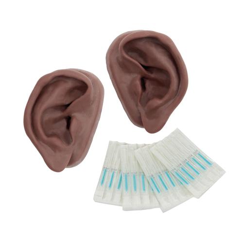 Orejas para acupuntura, juego para 10 estudiantes,&nbsp;&nbsp;tono de piel oscuro, 1024486 [N16D], Modelos