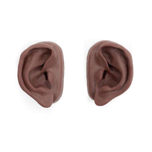 Orejas para acupuntura, juego para 10 estudiantes,&nbsp;&nbsp;tono de piel oscuro, 1024486 [N16D], Modelos