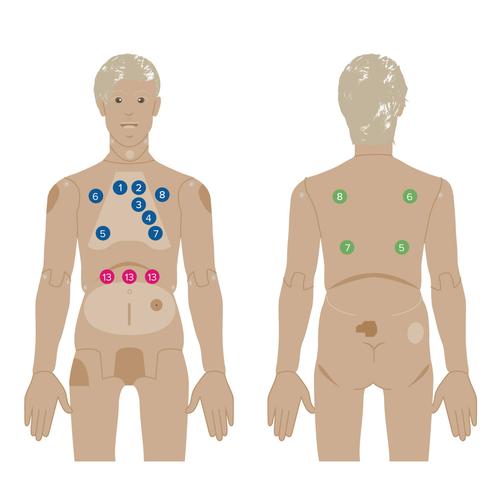 Nikki the Nursing Manikin with Auscultation, Light Skin, 1025296 [P10CCD/1], Adult Patient Care