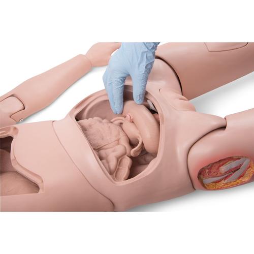 3B Scientific&reg; Maniqu&iacute; de Cuidados PRO, 1025295 [P10N], Cuidado del paciente adulto