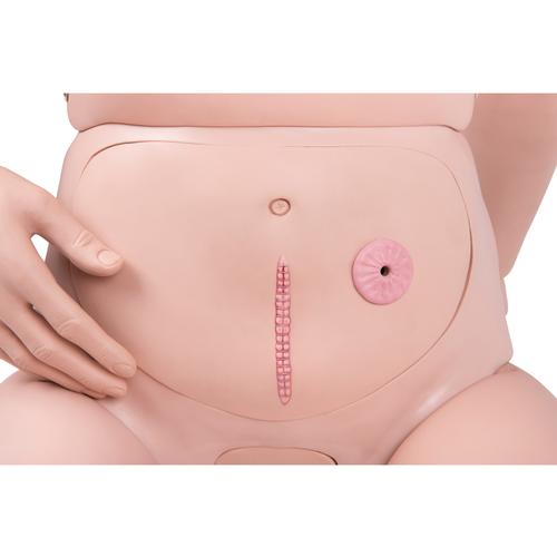 3B Scientific&reg; Simulador para Cuidado del Paciente BASIC, 1018817 [P11/1], Cuidado del paciente adulto