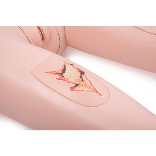 3B Scientific&reg; Simulador para Cuidado del Paciente BASIC, 1018817 [P11/1], Cuidado del paciente adulto