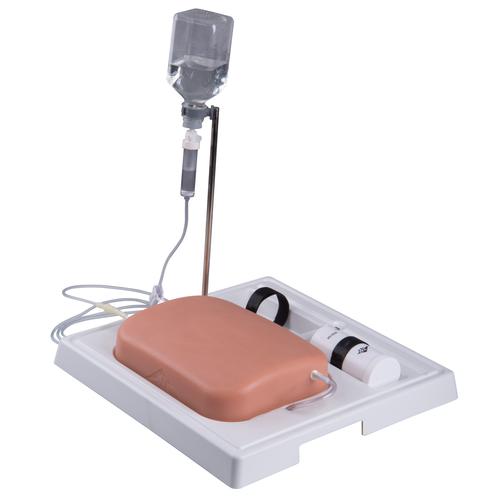 Modello di vene SONOtrain, 1019637 [P120], Ultrasound Skill Trainers
