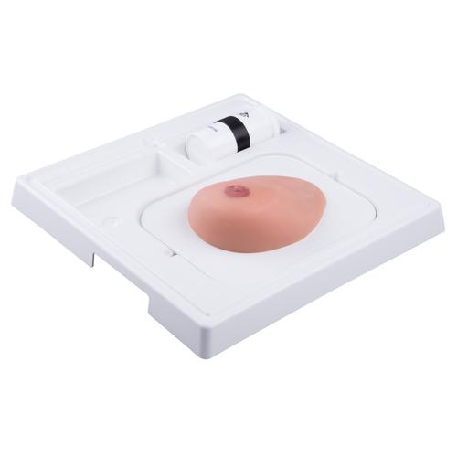 SONOtrain&nbsp;Breast Model with Cysts, Light Skin, 1019634 [P124], Ultrasound Skill Trainers