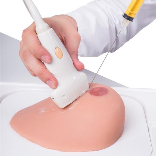 SONOtrain™ Breast model with cysts, 1019634 [P124], Ultrasound