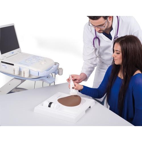 SONOtrain Breast Model with Cysts, Dark Skin, 1024722 [P124D], Ultrasound Skill Trainers