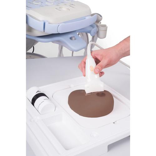 SONOtrain Breast Model with Cysts, Dark Skin, 1024722 [P124D], Ultrasound Skill Trainers