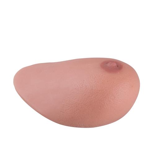 SONOtrain&nbsp;Breast model with tumours, Light Skin, 1019635 [P125], Ultrasound Skill Trainers