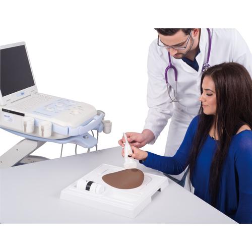 SONOtrain Breast model with tumours, Dark Skin, 1024723 [P125D], Ultrasound Skill Trainers
