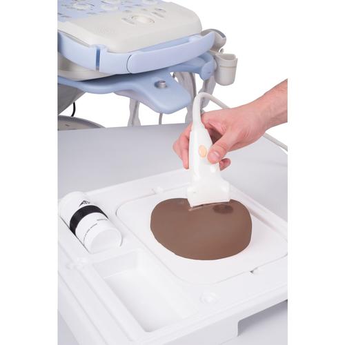 SONOtrain Breast model with tumours, Dark Skin, 1024723 [P125D], Ultrasound Skill Trainers