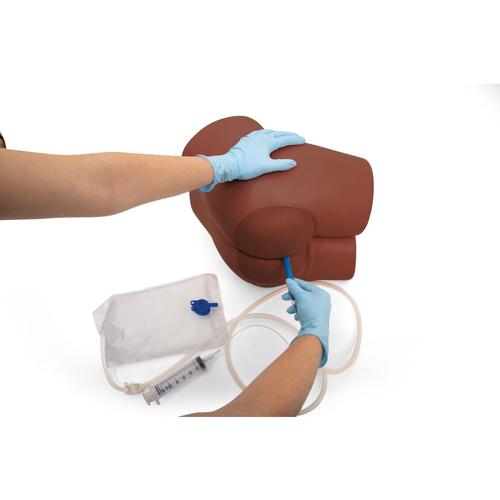Entrenador de cuidado intestinal P16D, tono de piel oscuro, 1023320 [P16D], Cuidado del paciente adulto