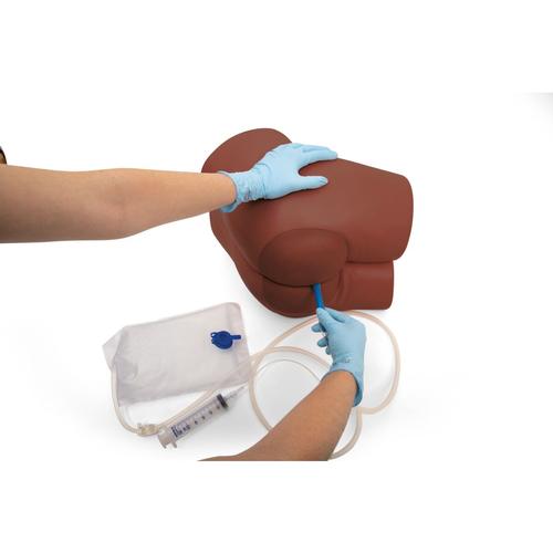 Simulador de Cuidados Intestinais e Enema P16D, tom de pele escura, 1023320 [P16D], Cuidados com o Paciente Adulto