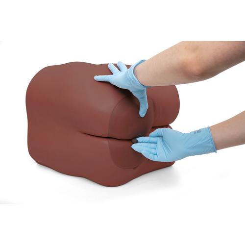 Entrenador de cuidado intestinal P16D, tono de piel oscuro, 1023320 [P16D], Cuidado del paciente adulto
