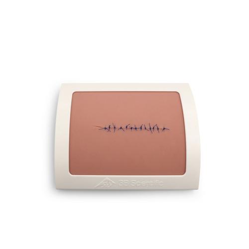 피부 봉합 트레이너&nbsp; Skin Suture Trainer, 1024494 [P22], 수술봉합 및 붕대감기
