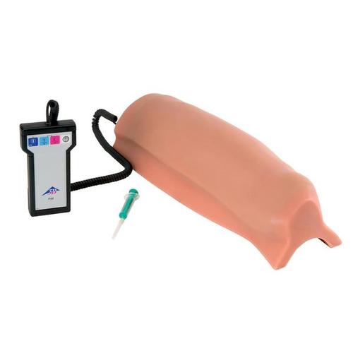 Intramuscular Injection Simulator - Upper Leg, 1000511 [P56], Injections and Punctures