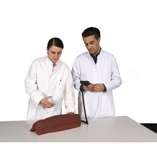 Simulador de inje&ccedil;&atilde;o intramuscular - Coxa, tom de pele escura, 1023766 [P56D], Inje&ccedil;&otilde;es e Pun&ccedil;&atilde;o