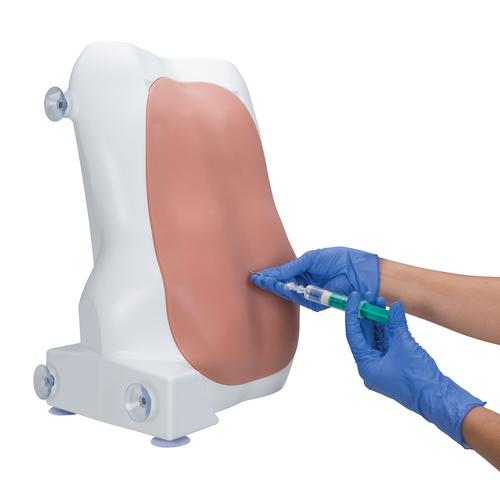 Simulador de punção epidural e lombar , 1017891 [P61], Injeções e Punção