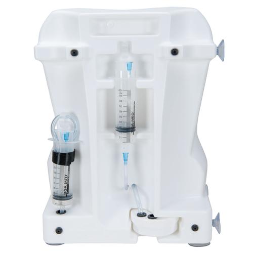 Epidural and Spinal Injection Trainer, Light Skin, 1017891 [P61], Injections and Punctures