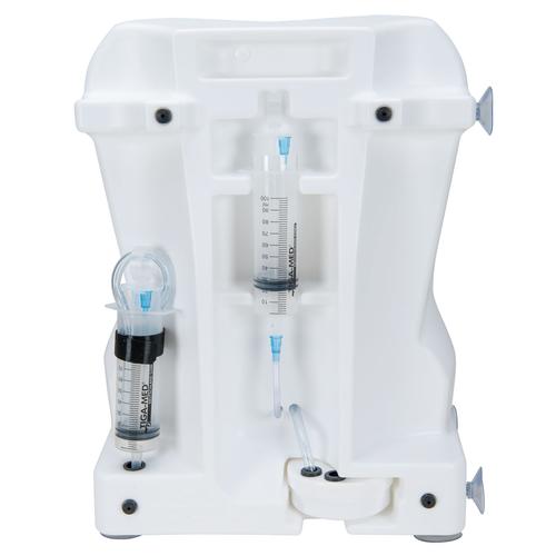 Epidural- und Spinalinjektions Trainer, 1017891 [P61], Injektionen und Punktion