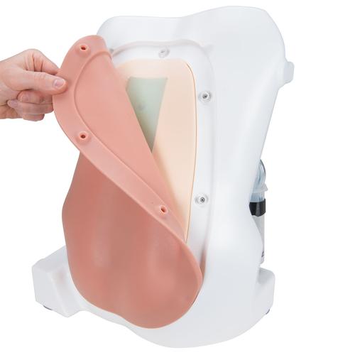 Simulador de pun&ccedil;&atilde;o epidural e lombar&nbsp;, 1017891 [P61], Inje&ccedil;&otilde;es e Pun&ccedil;&atilde;o