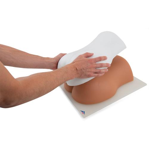 Simulador P65 de inje&ccedil;&atilde;o na coluna lombar guiada por imagem, 1021898 [P65], Inje&ccedil;&otilde;es e Pun&ccedil;&atilde;o