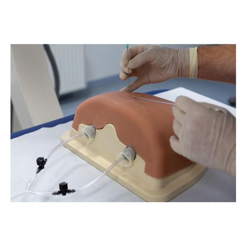 Image Guided Thoracic Spinal Injection Trainer P66, 1021899 [P66], Injections and Punctures