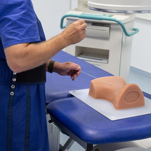 Entrenador de inyecci&oacute;n cervical guiada por im&aacute;genes P67, 1021900 [P67], Inyecciones y punci&oacute;n