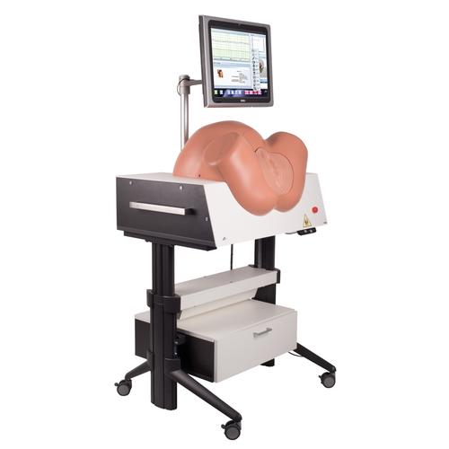 SIMone™ Simulador de Parto, 1019599 [P80/1], Obstetrícia