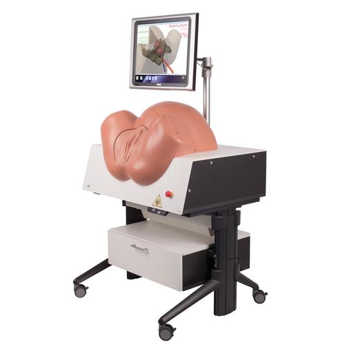 SIMone™ Simulador de Parto, 1019599 [P80/1], Obstetrícia