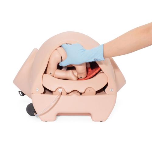 Simulador de parto PRO P90 de 3B Scientific, 1022879 [P90PN], Obstetricia