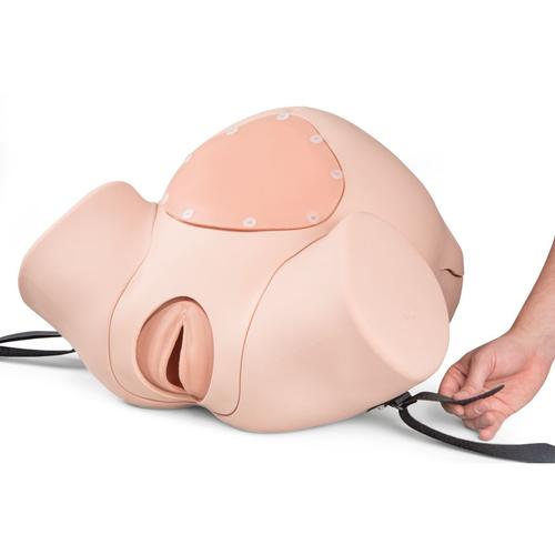 Simulador de parto PRO P90 de 3B Scientific, 1022879 [P90PN], Obstetricia