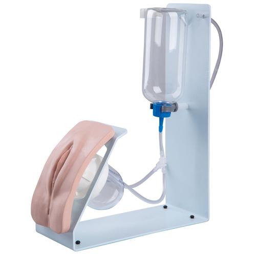 Simulador de cateterismo BASIC, sexo femenino, 1020231 [P93B-F], Cateterismo