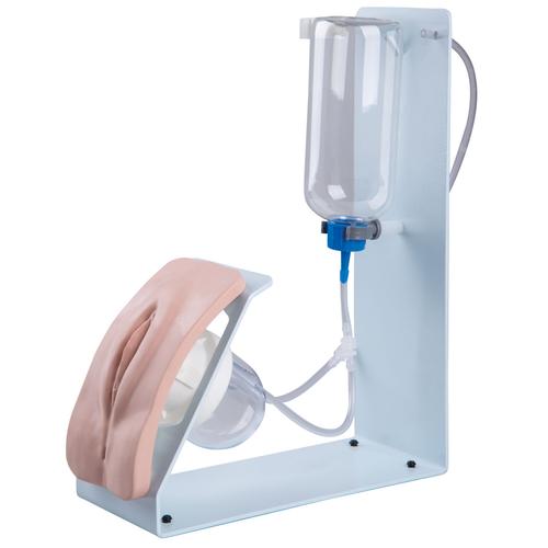 카테터 삽관 시뮬레이터 BASIC, 여성  Catheterization Simulator BASIC, female, 1020231 [P93B-F], 도뇨관 설치