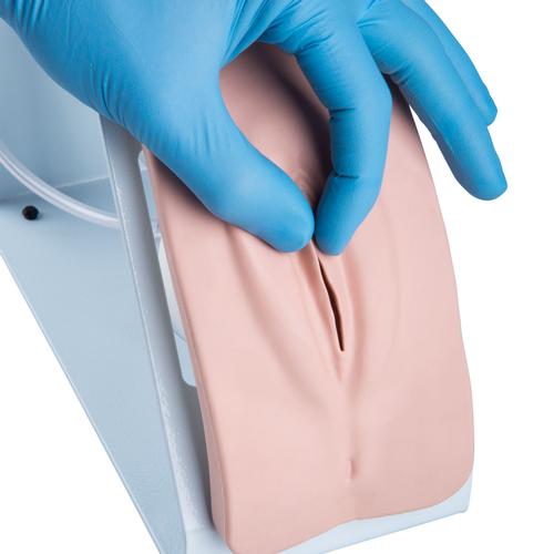 Simulador de cateterismo BASIC, sexo femenino, 1020231 [P93B-F], Cateterismo