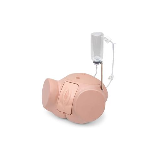 Simulatore di cateterismo PRO SPC, femminile, 1023008 [P93SPC-F], Cateterizzazione