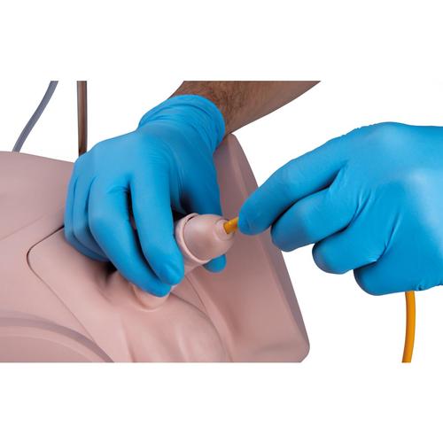 专业版导尿训练模型，男性, 1023009 [P93SPC-M], 导管插入
