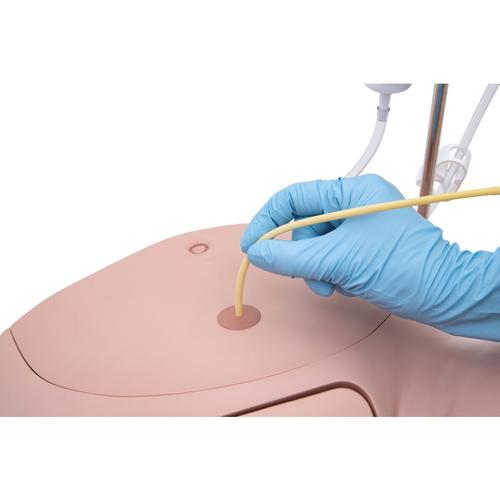 Simulatore di cateterismo Set PRO SPC, 1023010 [P93SPC-S], Cateterizzazione