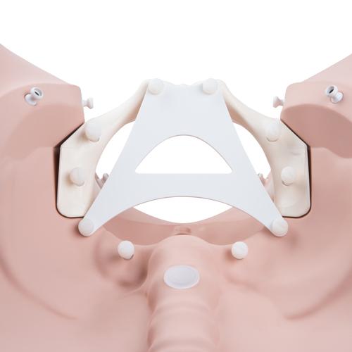 Simulador de Est&aacute;gios de Parto 3B, 1020628 [P94], Obstetr&iacute;cia
