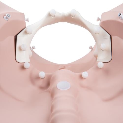 Simulador de Est&aacute;gios de Parto 3B, 1020628 [P94], Obstetr&iacute;cia