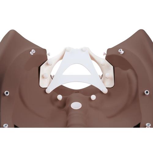 Simulador de Est&aacute;gios de Parto 3B pele escura, 1023330 [P94D], Obstetr&iacute;cia