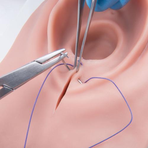 Entrenador de episiotomía y sutura, 1019639 [P95], Sutura y vendaje